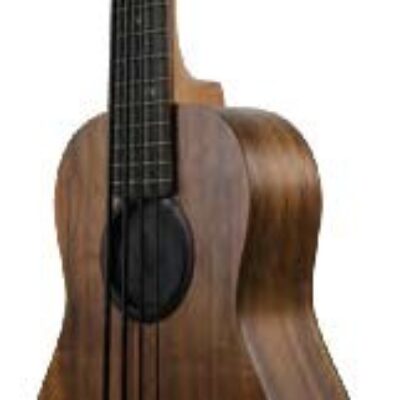 ubassff-2.jpg